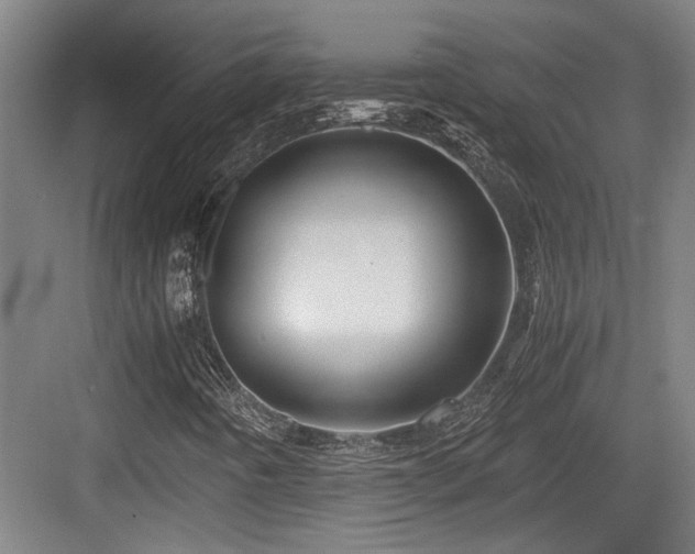 X0000084031442200702161422