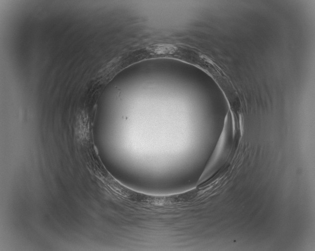 X0000084031443200702161422