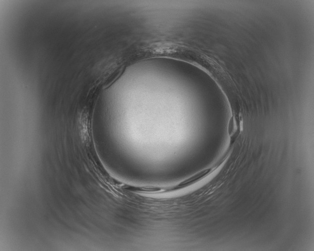 X0000084031444200702161422