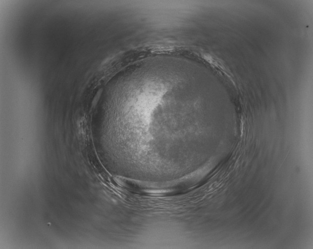 X0000084031445200702161422