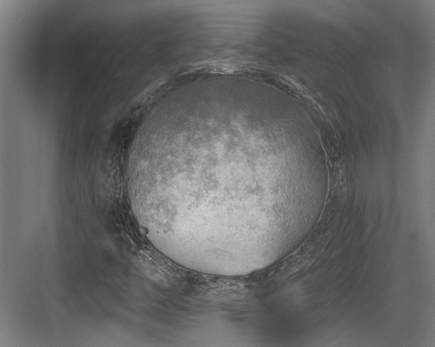 X0000084031446200702161422