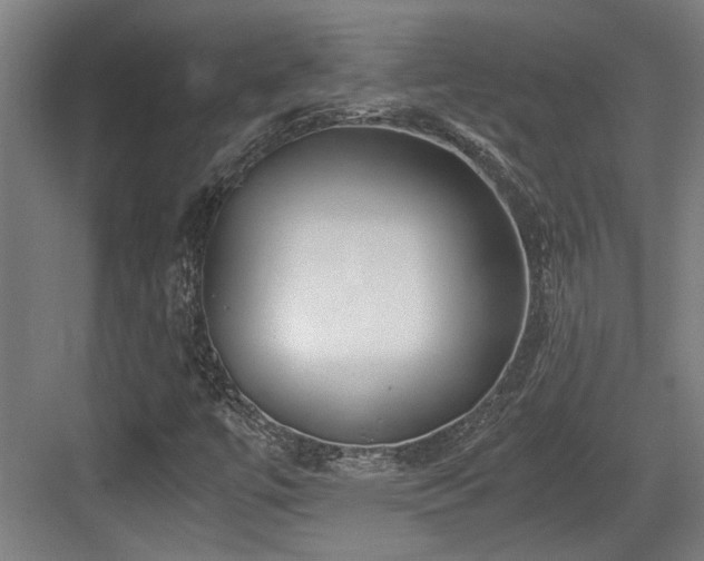 X0000084031447200702161422