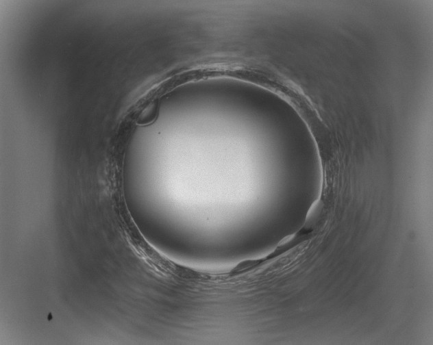 X0000084031448200702161422