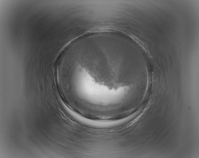 X0000084031449200702161422