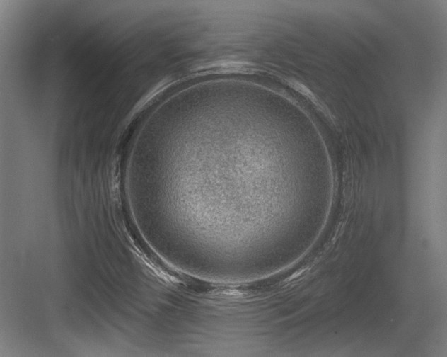 X0000084031450200702161422