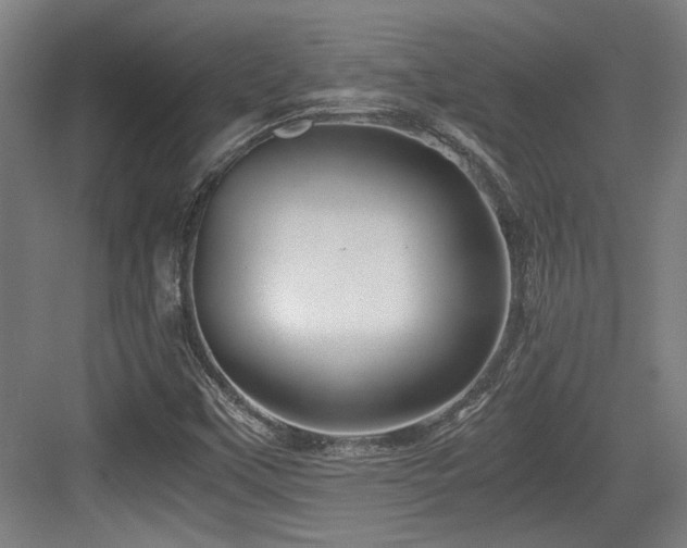 X0000084031451200702161422