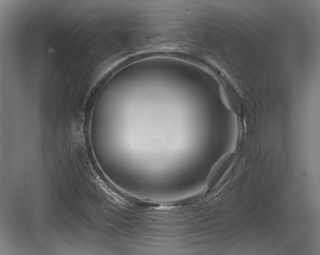 X0000084031452200702161422