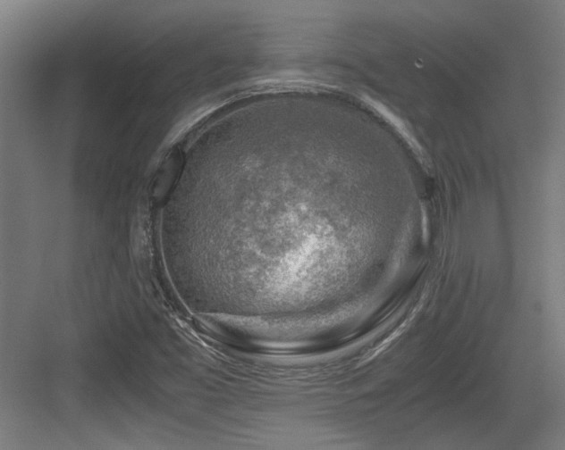 X0000084031453200702161422