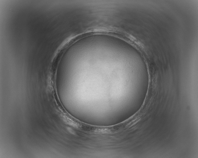 X0000084031454200702161422