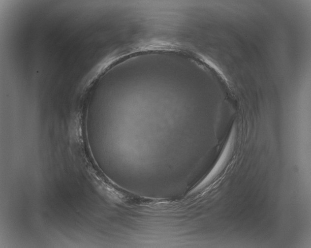 X0000084031455200702161422