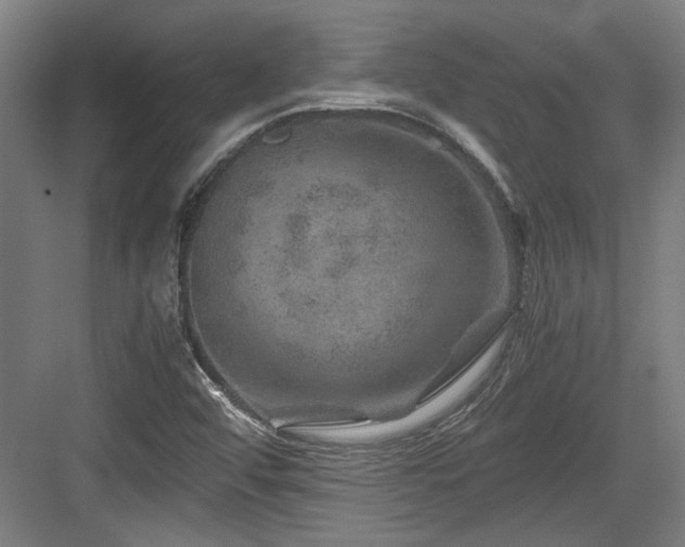 X0000084031456200702161422