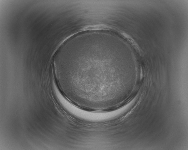 X0000084031457200702161422