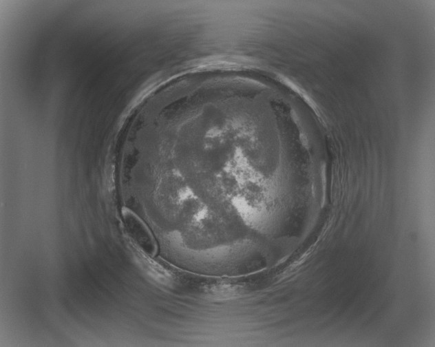 X0000084031459200702161422