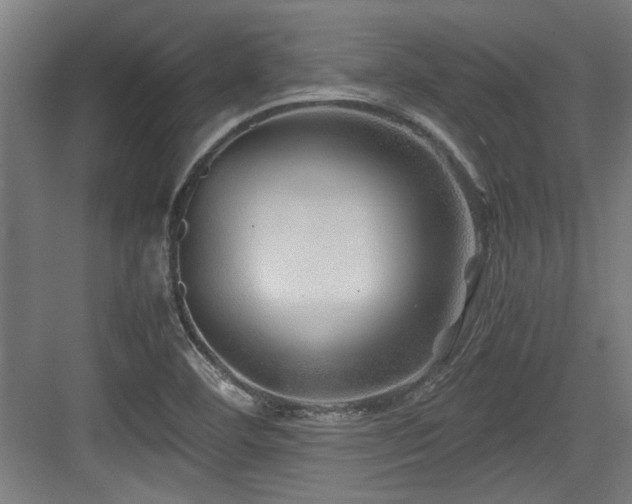 X0000084031460200702161422