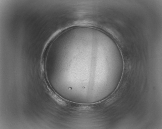 X0000084031462200702161422