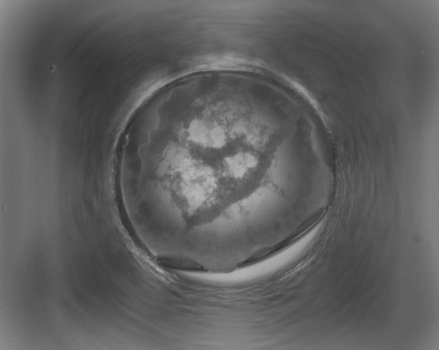 X0000084031463200702161422