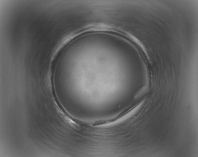 X0000084031464200702161422