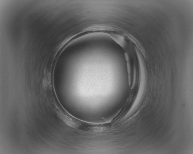 X0000084031465200702161422