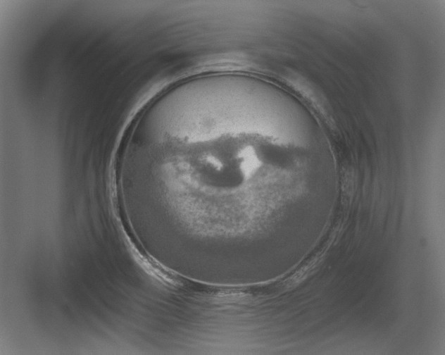 X0000084031466200702161422