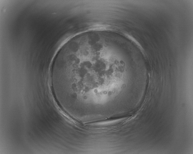 X0000084031467200702161422