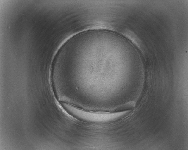 X0000084031468200702161422