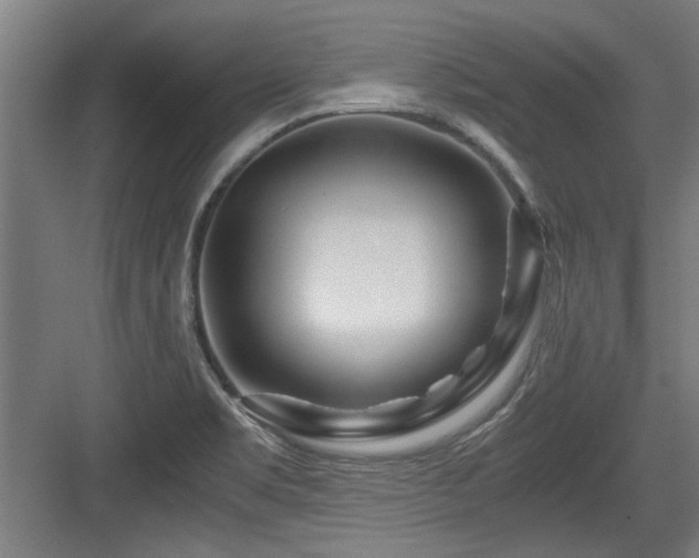 X0000084031469200702161422