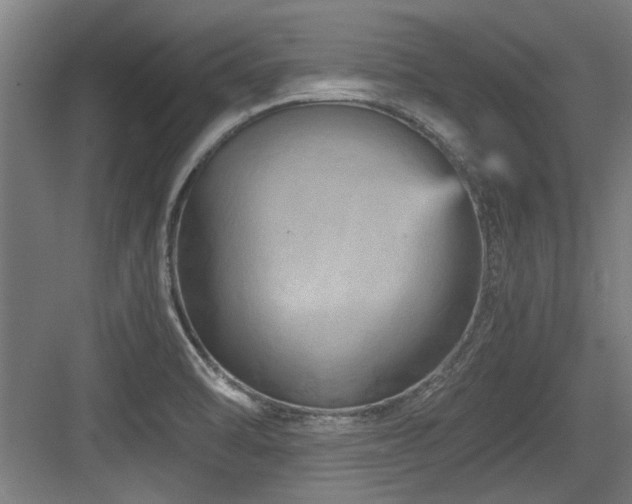 X0000084031470200702161422