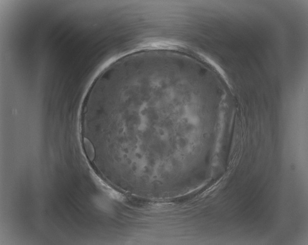 X0000084031471200702161422