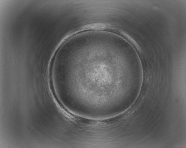 X0000084031475200702161422