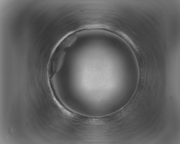 X0000084031476200702161422