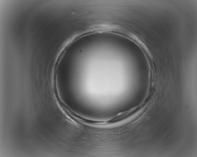 X0000084031477200702161422