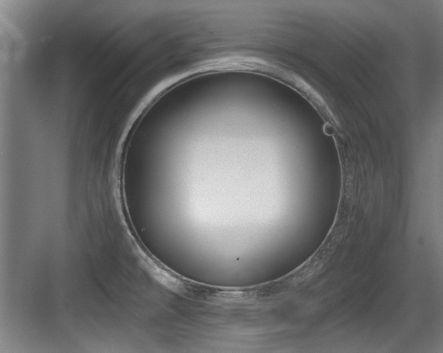 X0000084031478200702161422