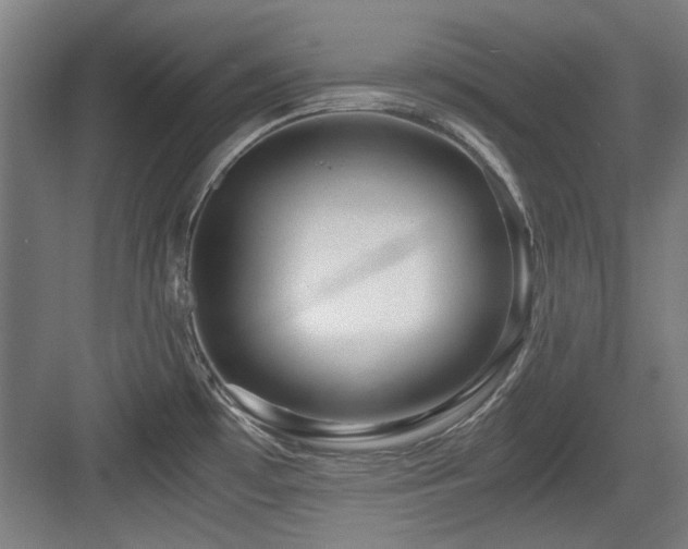 X0000084031481200702161422