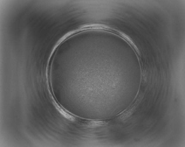 X0000084031482200702161422