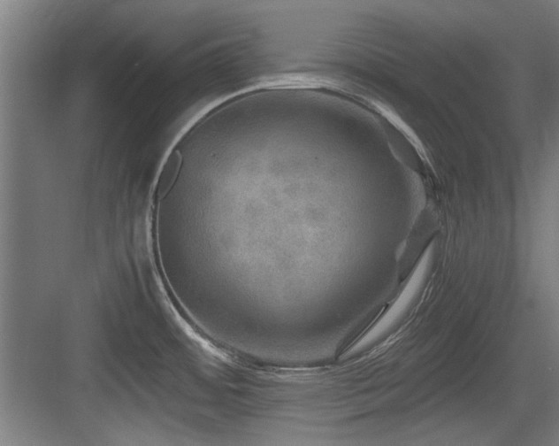 X0000084031484200702161422