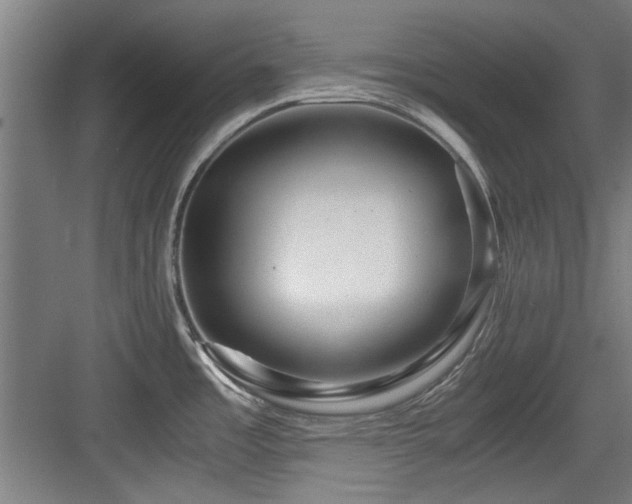 X0000084031485200702161421