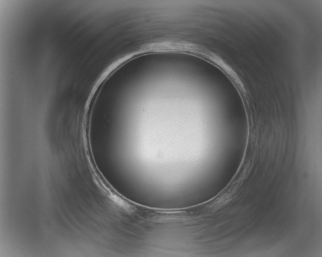 X0000084031486200702161421