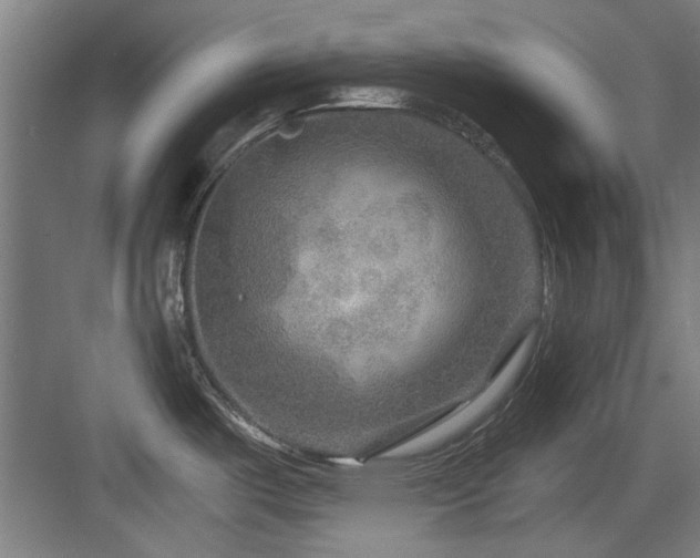 X0000084031487200702161421