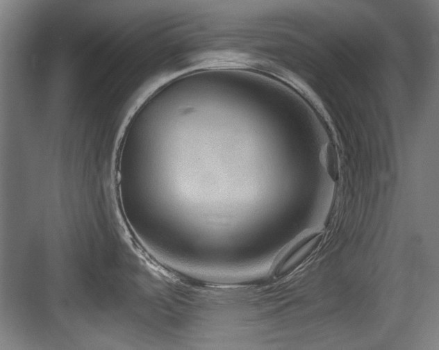 X0000084031488200702161421