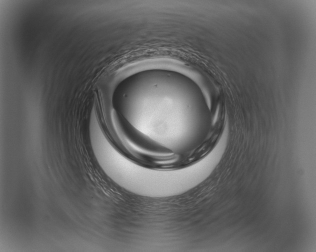 X0000084031489200702161421