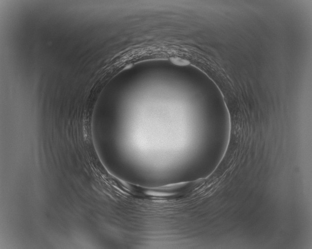 X0000084031490200702161421