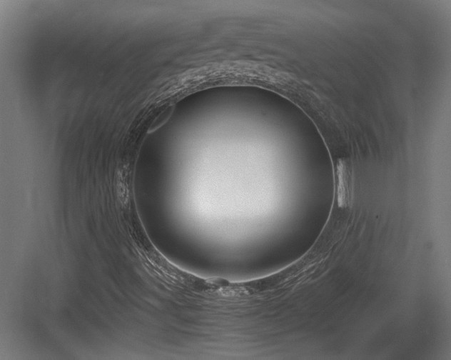 X0000084031491200702161421