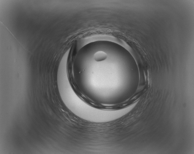 X0000084031492200702161421