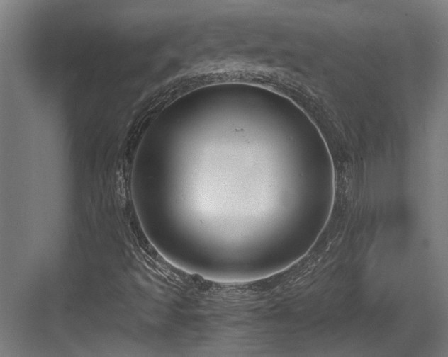 X0000084031493200702161421