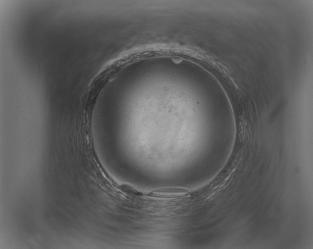 X0000084031494200702161421