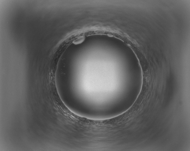X0000084031495200702161421