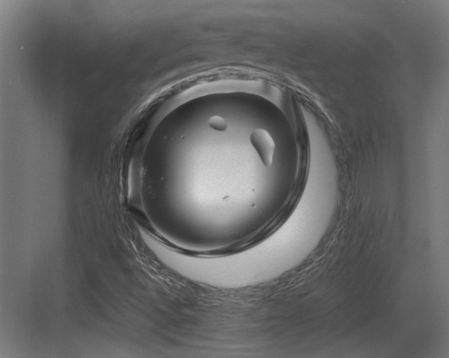 X0000084031496200702161421