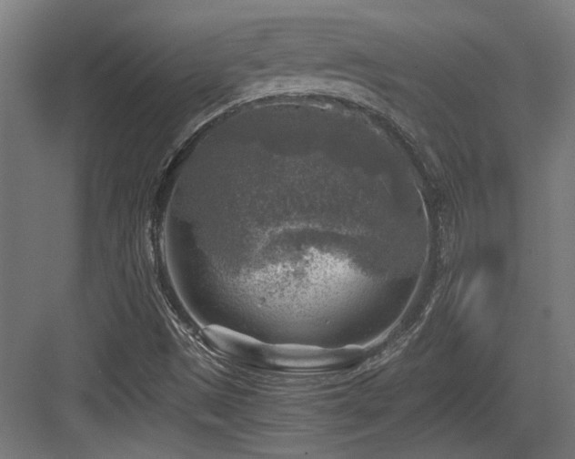 X0000084031497200702161421