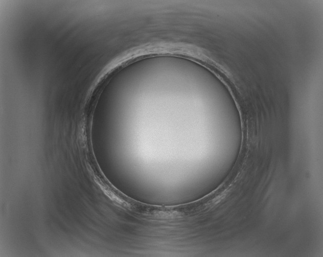 X0000084031498200702161421