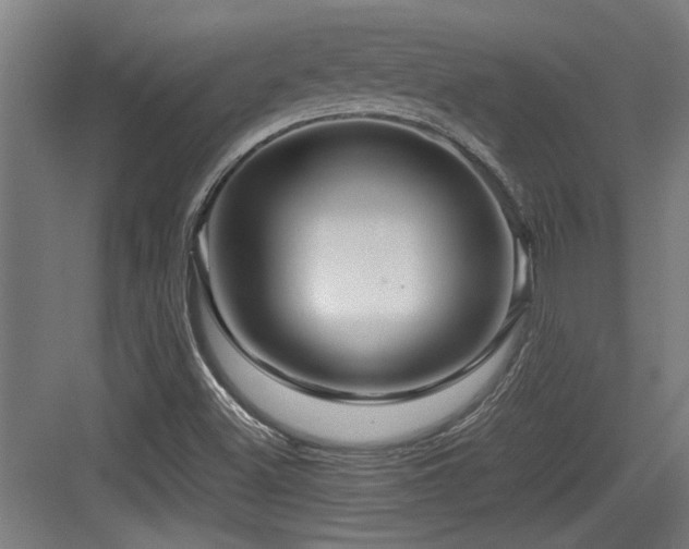 X0000084031500200702161421